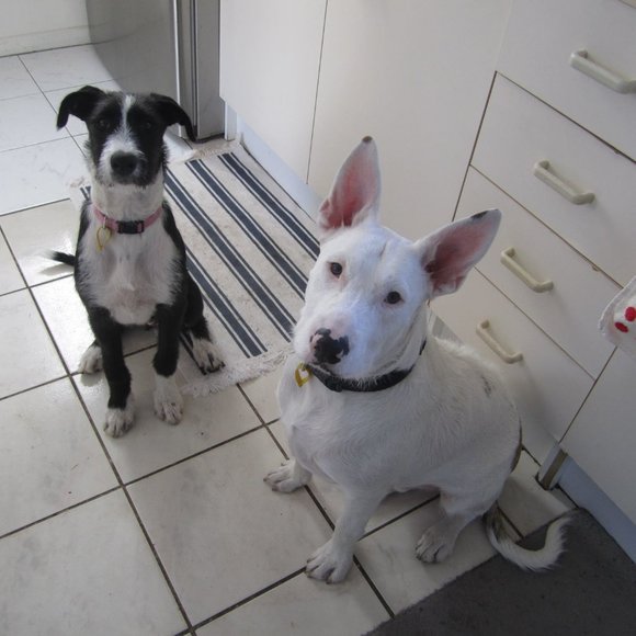 Meet your Posher, Liz ! - Picture 5 of 7